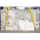 OYSTER WHITE