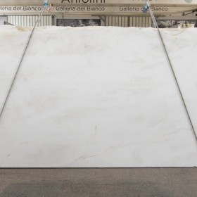 MYSTERY WHITE 