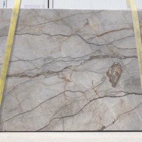 SILVER ROOTS  3 cm