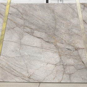SILVER ROOTS  2 cm