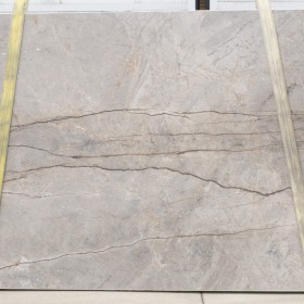 SILVER ROOTS  3 cm