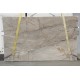 SILVER ROOTS