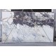 BRECCIA CAPRAIA TURQUOISE